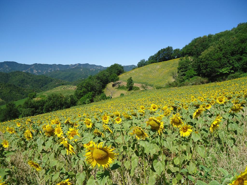 Agriturismo I Monti Di Salecchio Palazzuolo Sul Senio Ngoại thất bức ảnh