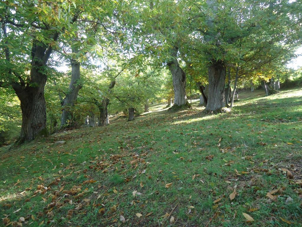 Agriturismo I Monti Di Salecchio Palazzuolo Sul Senio Ngoại thất bức ảnh