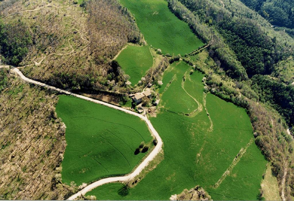 Agriturismo I Monti Di Salecchio Palazzuolo Sul Senio Ngoại thất bức ảnh