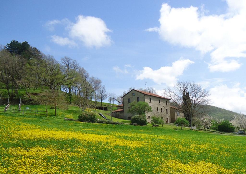 Agriturismo I Monti Di Salecchio Palazzuolo Sul Senio Ngoại thất bức ảnh